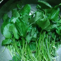 سبزی معطر