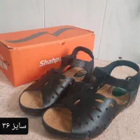 کفش زنانه|کیف، کفش، کمربند|قم, سالاریه|دیوار