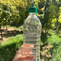عرق نعنا ارگانیک اعلا (عمده)|خوردنی و آشامیدنی|تهران, آجودانیه|دیوار