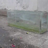 تجهیزات کامل اکواریوم رو باهم میدم نازلترین قیمت