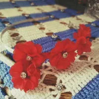 اکسسوری  های زیبا وخاص|بدلیجات|یاسوج, |دیوار