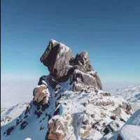 همنورد