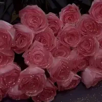 گل ربانی بخرین ازم