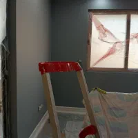 نقاش نقاشی ساختمان باسلیقه شروع کار فوری