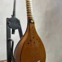 سه تار حرفه ای مهر شارخی