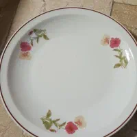 سه عدد بشقاب چینی قدیمی و ۵عدد فنجان ارکوپال وغیره|ظروف سرو و پذیرایی|تهران, زنجان جنوبی|دیوار