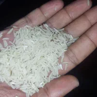 برنج فجر خوش پخت و خوش عطر