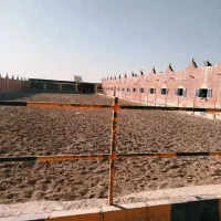 پانسیون اسب در باشگاه پردیس|اسب و تجهیزات اسب‌سواری|برخوار, |دیوار