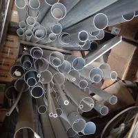 پلیکا شاخه ایی  ناودانی