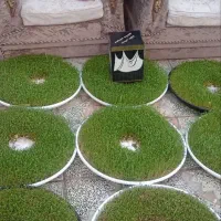 سبزه برای حجاج با ماکت کعبه تولید خانگی