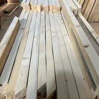 تولیدی درب چوبی،اتاقی،سرویسی،حمام،ورودی ضد سرقت|مصالح و تجهیزات ساختمان|مشهد, نوید|دیوار