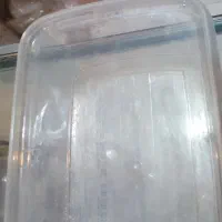 ظرف پلاستیکی