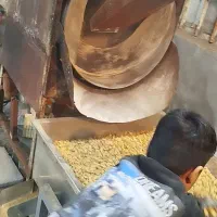 خط تولید بوجای کامل 195میلیون