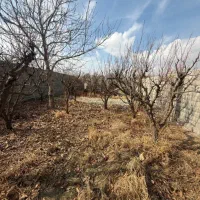 زمین-سهیلیه-سنقراباد