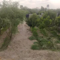 باغ میوه ۷۵۰متری فروشی مناسب برای سرمایه گذاری