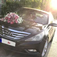 سوناتا ۲۰۱۱بی رنگ