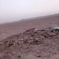 کود گوسفند