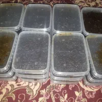 سبزی قرمه سرخ شده با سبزی محلی|خوردنی و آشامیدنی|رشت, رشتیان|دیوار