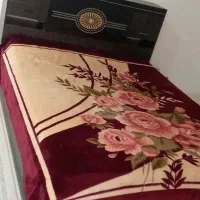 سرویس کامل چوب|تخت و سرویس خواب|تربت جام, جامی|دیوار