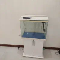 آکواریم