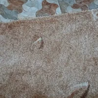 پالاز|فرش|دهدشت, |دیوار