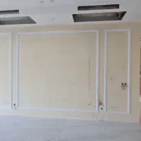 هم خانه خانم