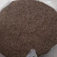 آویشن و زیره تازه و تمیز