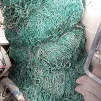 تور ماهی نخل اسرائیلی