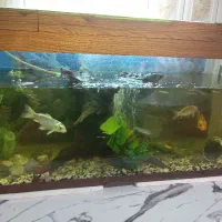 آکواریوم بزرگ با تجهیزات کامل