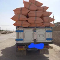 کاه|خدمات باغبانی و درختکاری|شوشتر, |دیوار
