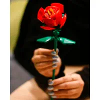 گل لگو رز و زنبق|کلکسیون و سرگرمی|تهران, عباس‌آباد|دیوار