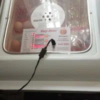 دستگاه جوجه کشی اسکندری