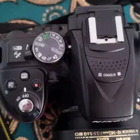 دوربین|دوربین عکاسی و فیلمبرداری|نیشابور, شهرک قدس|دیوار