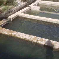 نیروی مرد با حقوق و جای خواب