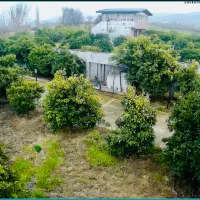 خونه باغ (ویلا) ، بهشهر