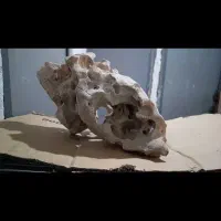 تزیینات آکواریم|ماهی|پاکدشت, پاکدشت (مامازند)|دیوار