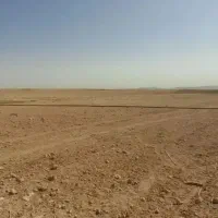 زمین کشاورزی با چاه آب|اجارهٔ دفتر صنعتی، کشاورزی، تجاری|گلبهار, بیزکی|دیوار