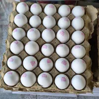 شکر قند برنج روغن کف قیمت بازار خشکبار بهرام