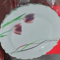 ظروف ایروپال