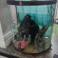 اکواریوم شیشه خم