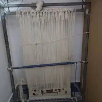 دار قالی بافی