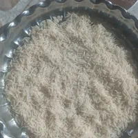 برنج طارم و فجر