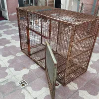فروش گنجه و درب گنجه|لوازم جانبی حیوانات|شیراز, گلکوب|دیوار