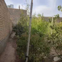 مغازه و باغ در منظر