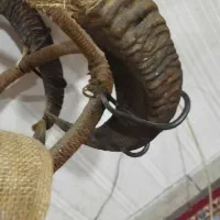 لوستر|لوستر و چراغ آویز|تهران, کاشانک|دیوار