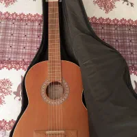 گیتار پارسی p40