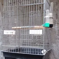 ۴تاقفس پرنده