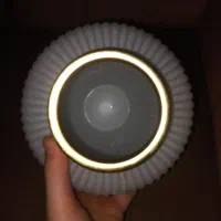 گلدان شیشه ای|گل و گیاه طبیعی|بجنورد, |دیوار