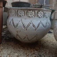 گلدان|گل و گیاه طبیعی|اصفهان, عسگریه|دیوار