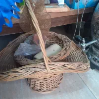 سبد حصیری چوبی سفالی گلدان